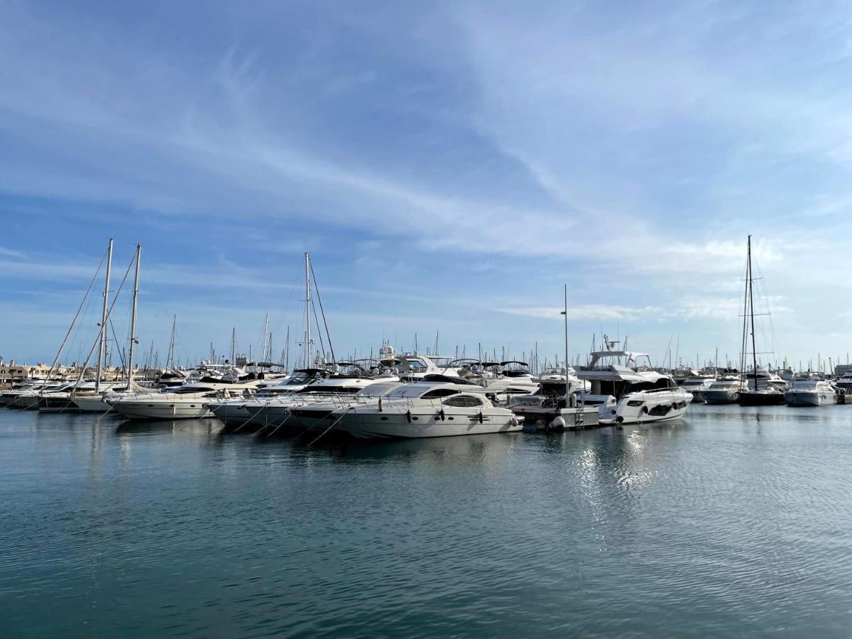 Haroldo Parres 17 Lägenhet Alicante Exteriör bild